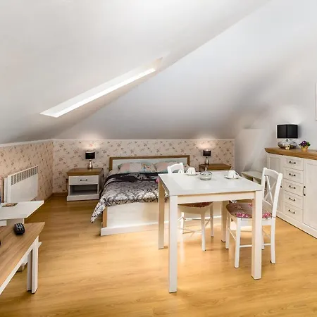 Koral بيت شباب *