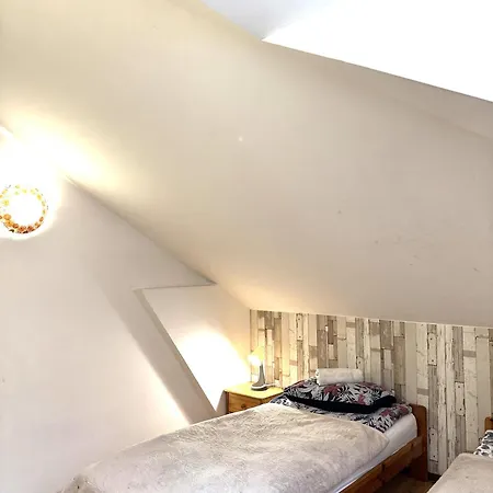 Koral * شتشيتسين