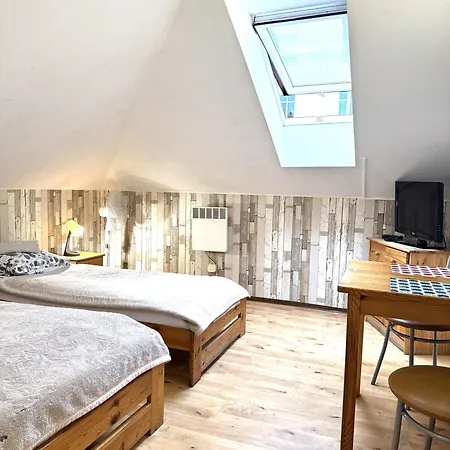 Koral شتشيتسين