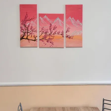 Koral بيت شباب *