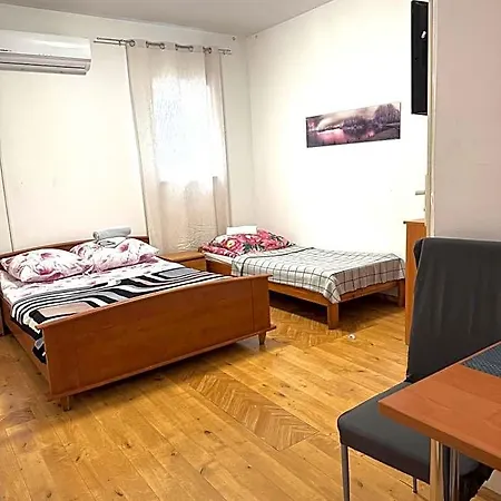 Koral بيت شباب شتشيتسين